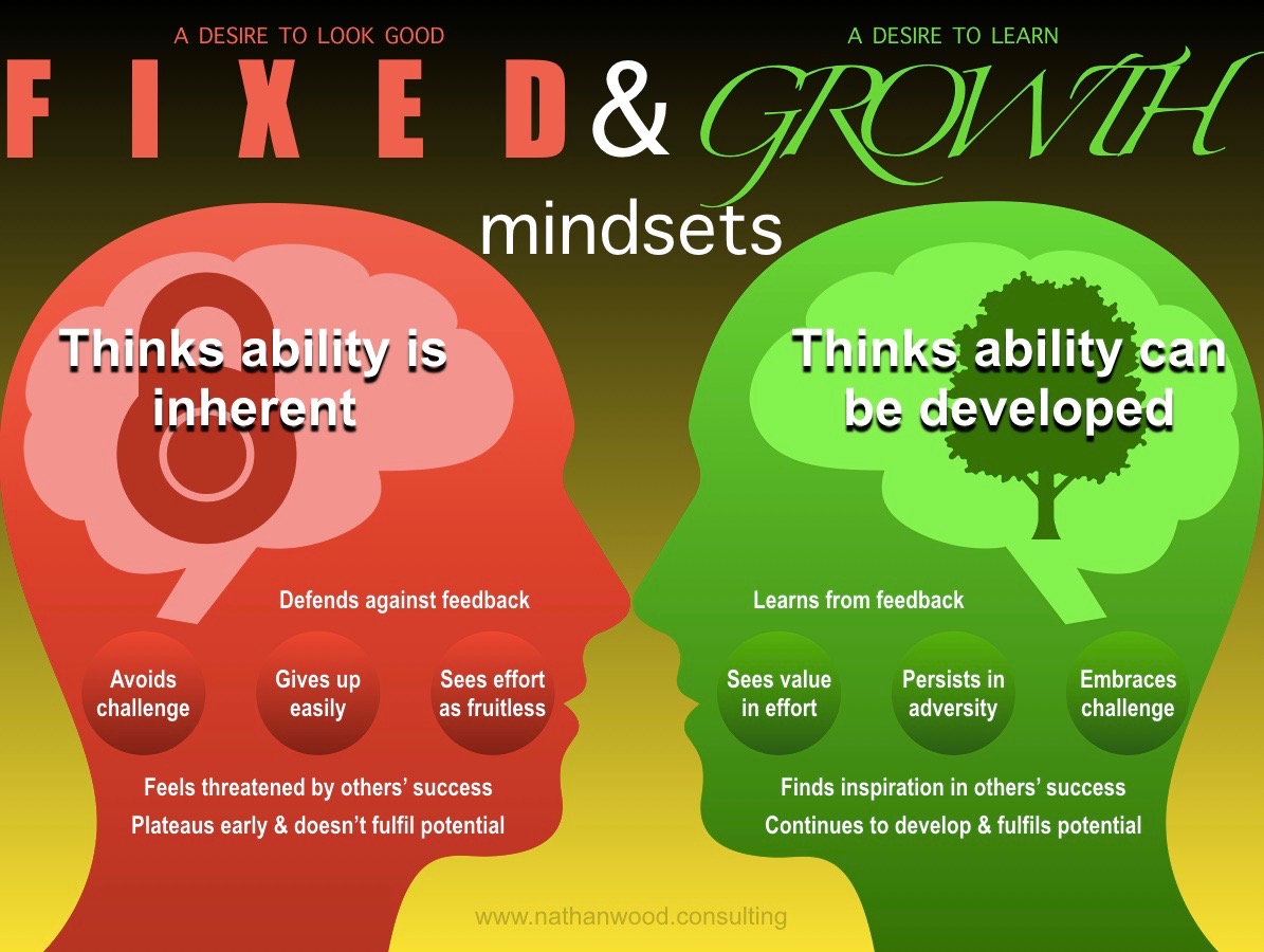 The Differences Between Fixed and Growth Mindsets | Nathan Wood Consulting